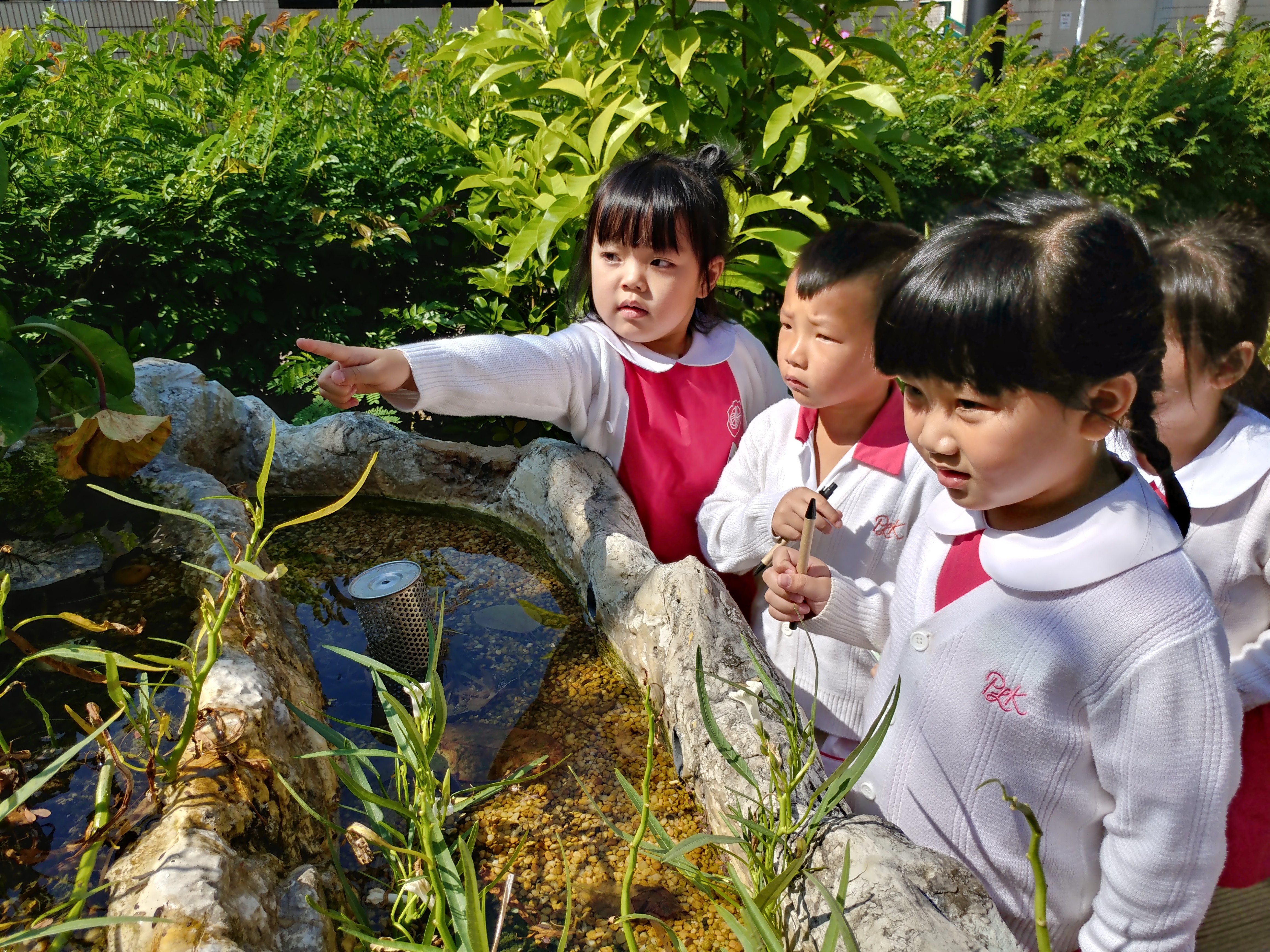 大埔區幼稚園-戶外活動-保良局鄧碧雲紀念幼稚園